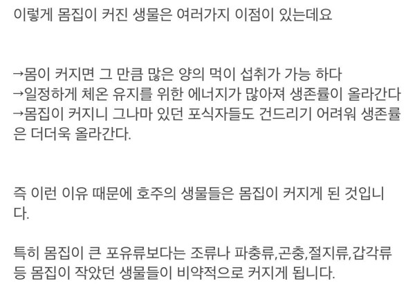 벌레주의) 호주에 거대 벌레가 많은 이유